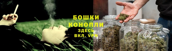 ГАЛЛЮЦИНОГЕННЫЕ ГРИБЫ Балабаново