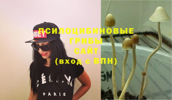 PSILOCYBIN Горнозаводск