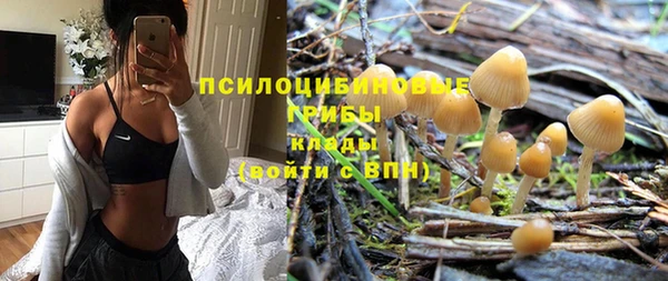 ГАЛЛЮЦИНОГЕННЫЕ ГРИБЫ Балабаново