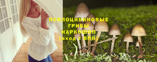 ГАЛЛЮЦИНОГЕННЫЕ ГРИБЫ Балабаново